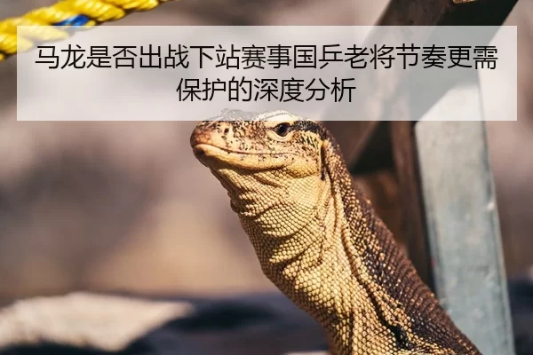 马龙是否出战下站赛事国乒老将节奏更需保护的深度分析
