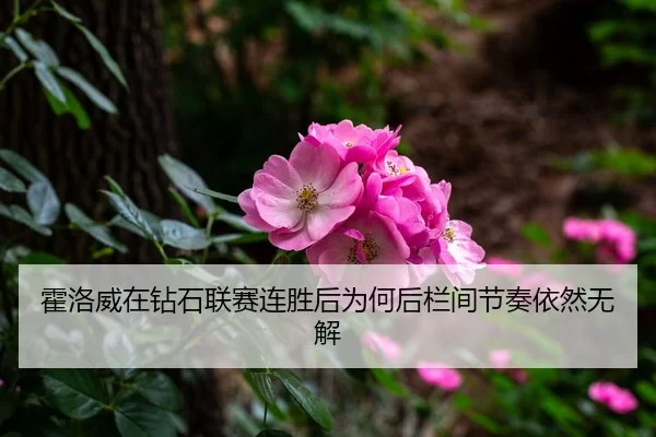 霍洛威在钻石联赛连胜后为何后栏间节奏依然无解