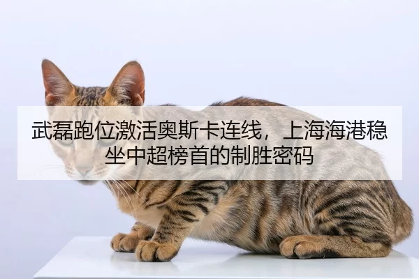wu-lei-pao-wei-ji-huo-ao-si-ka-lian-xian-shang-hai-hai-gang-wen-zuo-zhong-chao-bang-shou-de-zhi-sheng-mi-ma-2-989.jpg