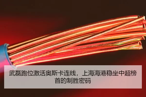 wu-lei-pao-wei-ji-huo-ao-si-ka-lian-xian-shang-hai-hai-gang-wen-zuo-zhong-chao-bang-shou-de-zhi-sheng-mi-ma-3-837.jpg
