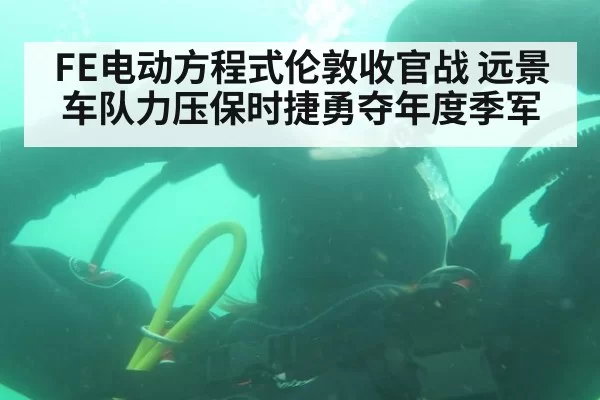 FE电动方程式伦敦收官战 远景车队力压保时捷勇夺年度季军
